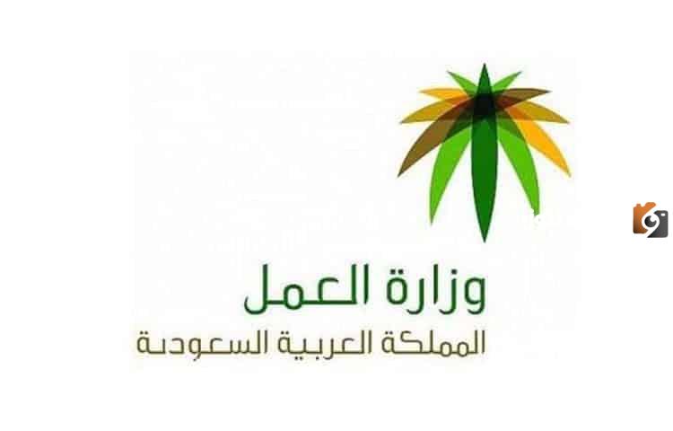 كيف يمكن الاستعلام عن صلاحية رخصة العمل 2023 برقم الإقامة ورقم الحدود وما هي الخطوات المطلوبة