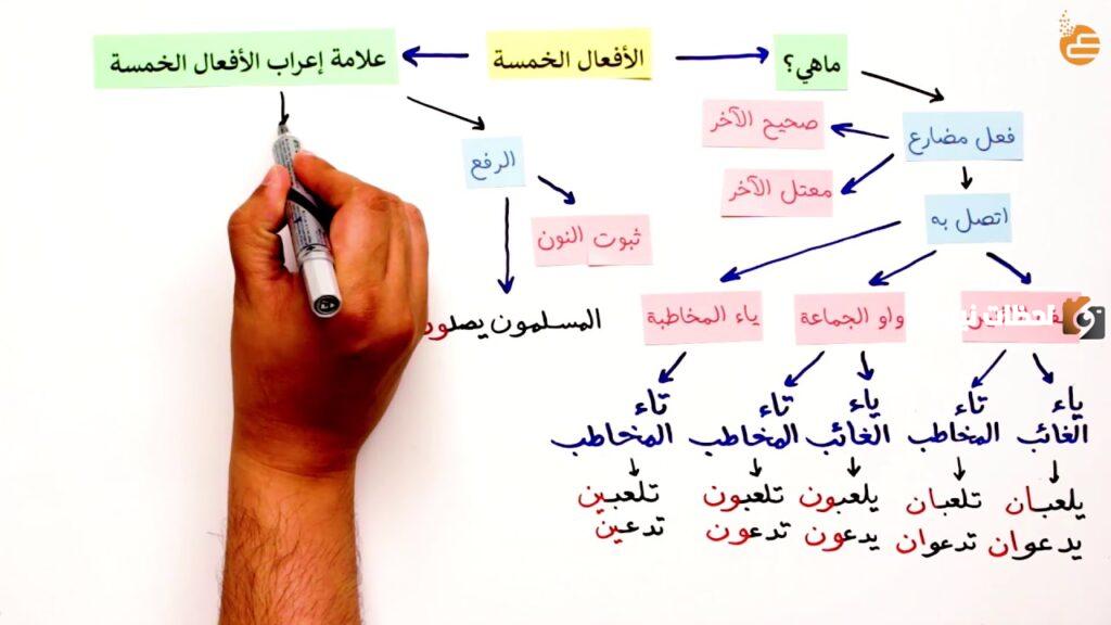 ما هو إعراب الأفعال الخمسة في المضارع