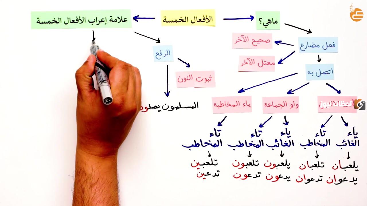 ما هو إعراب الأفعال الخمسة في المضارع
