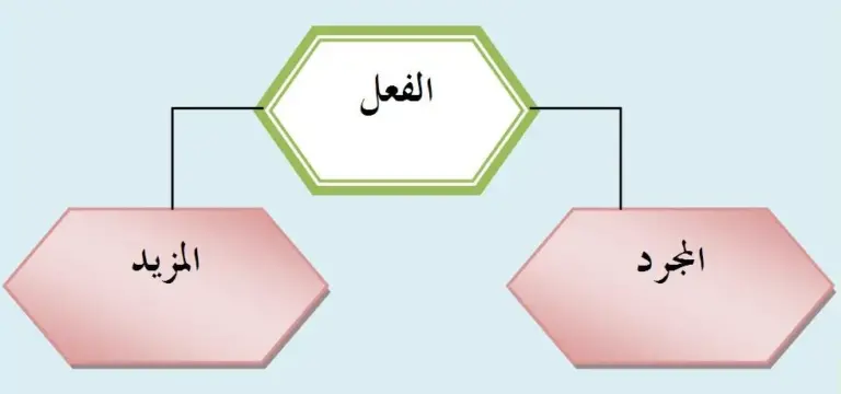 ما هو الفعل المجرد والمزيد من الأفعال