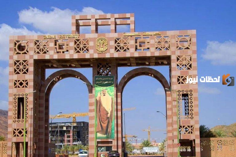 ما هي تخصصات جامعة طيبة والنسب المطلوبة