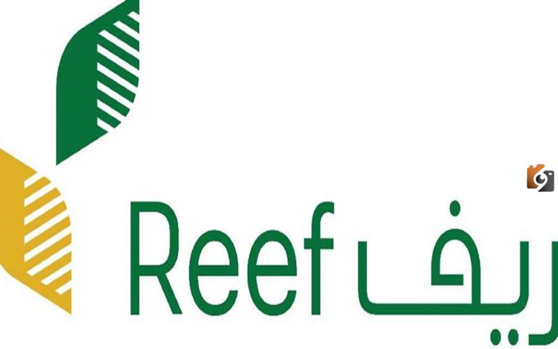 الإعلان عن الموعد الخاص بصرف دعم ريف لشهر ديسمبر لعام 2025، وزارة الزراعة والبيئة تحدد التفاصيل