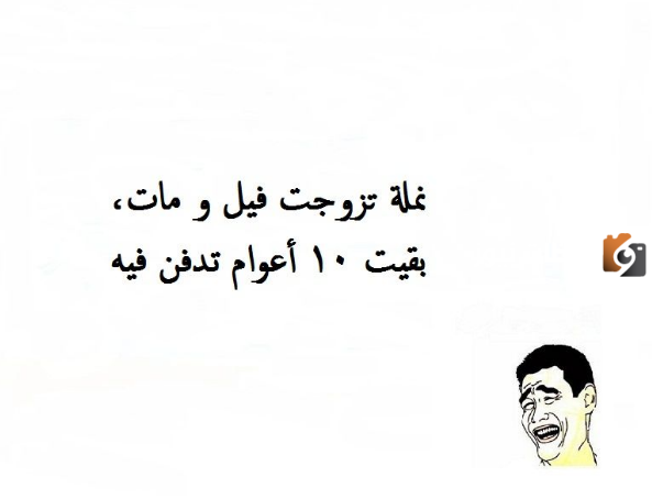 نكت سريعة ومضحكة جدا