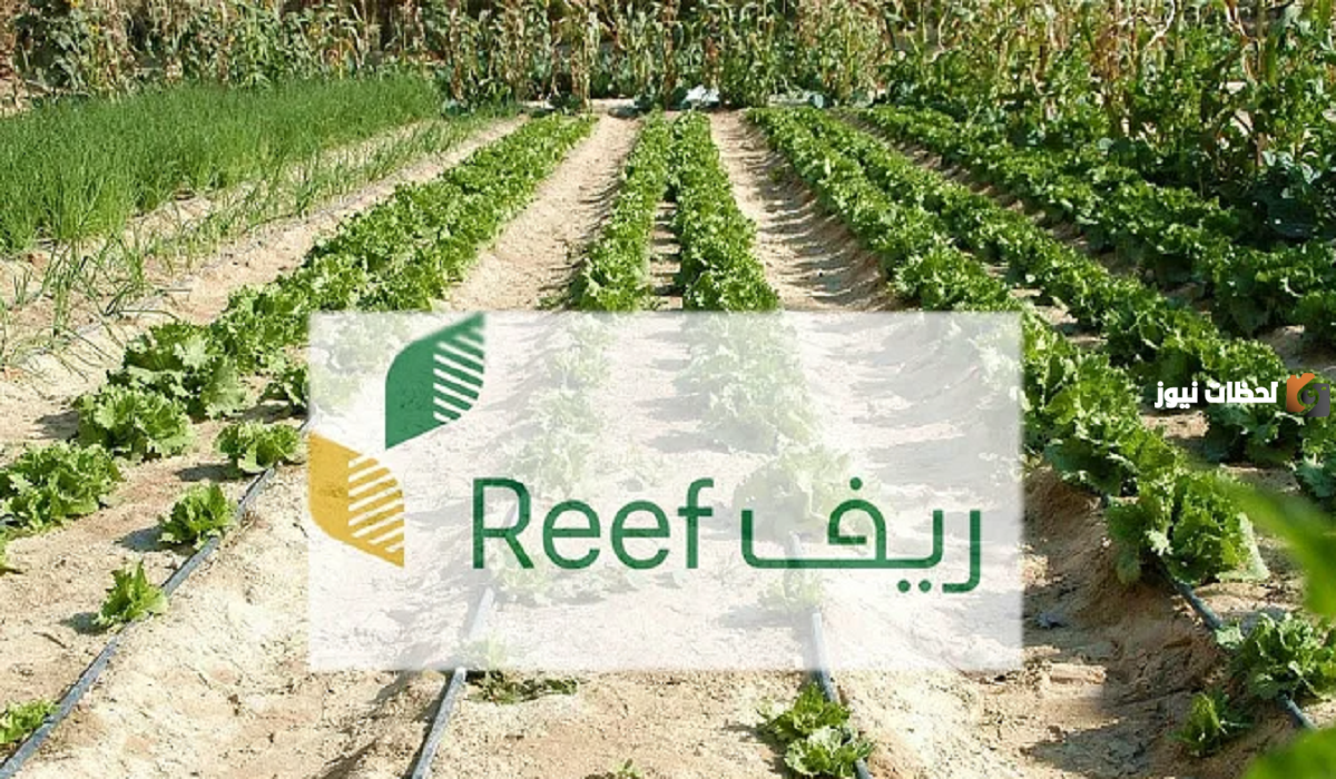 وزارة الموارد البشرية تُجيب على سؤال هل دعم الريف يؤثر على حساب المواطن؟ وماهي عقوبة إخفاء مصادر الدخل