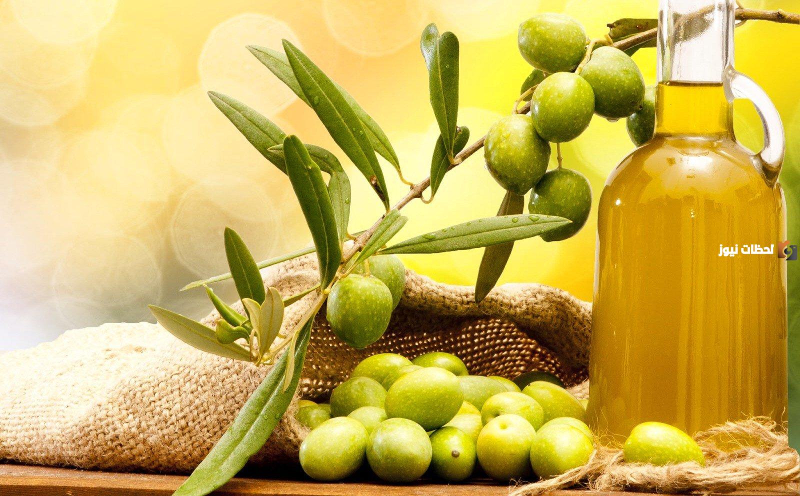 وضع زيت الزيتون على الشعر قبل النوم مفيد