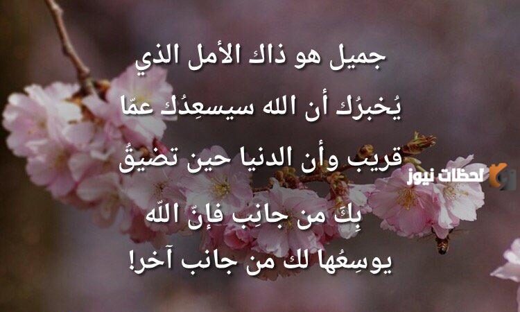 أقوال وحكم عن الأمل