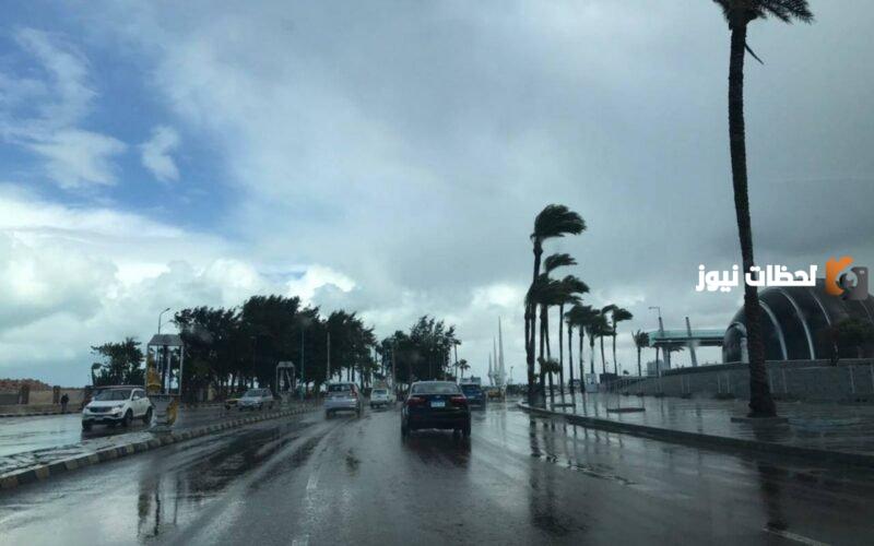 توقعات شتاء مصر