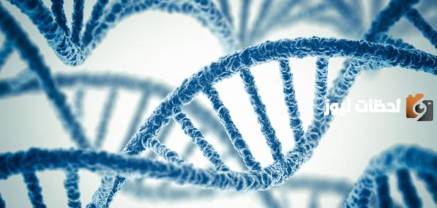 طرق نقل الجينات في النباتات والحيوانات