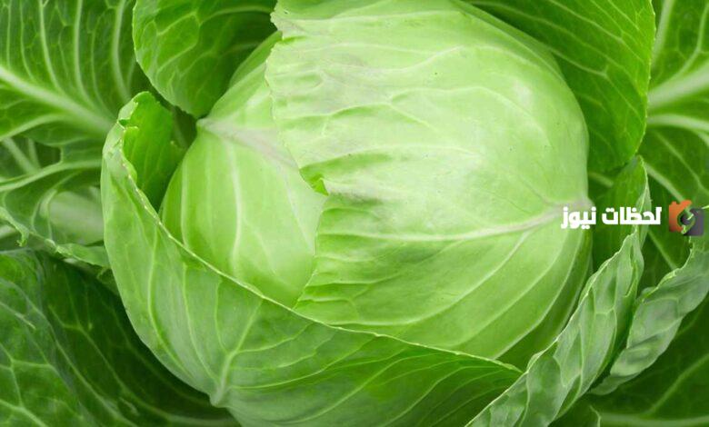 تعرف على فوائد الملفوف الأبيض للرجيم