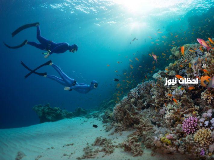 الغوص في البحر