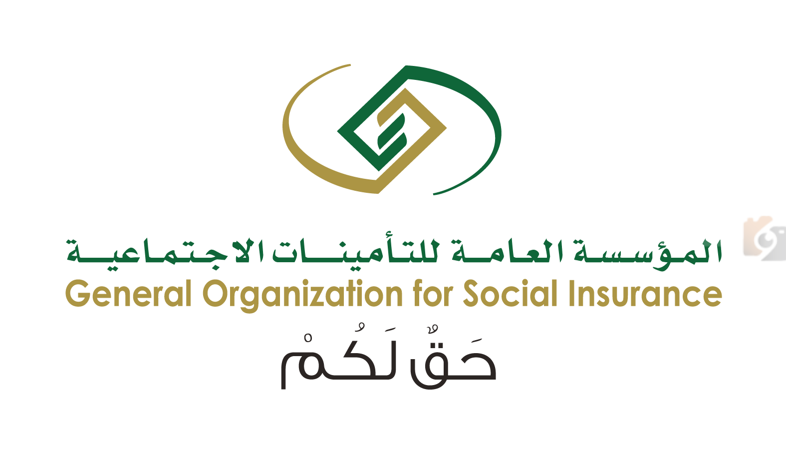 التأمينات السعودية
