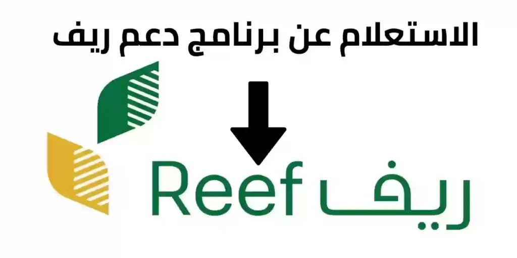طريقة الاستعلام عن دعم ريف