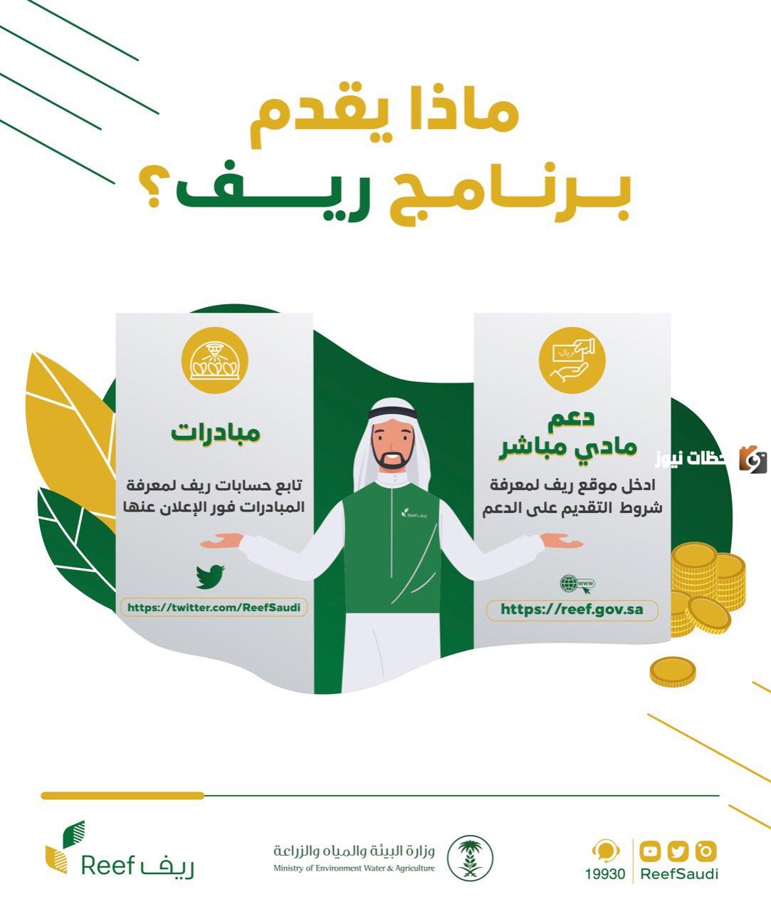 ما هي متطلبات التقديم في الدعم الشهري من برنامج ريف؟