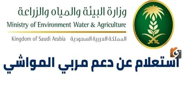طريقة الاستعلام عن دعم مربي المواشي وشروط الحصول عليه وموعد الصرف