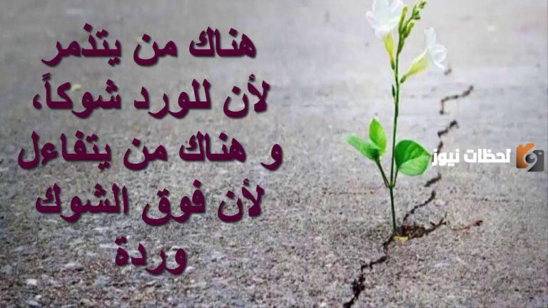 كلمات عن التفاؤل والأمل | عبارات عن التفاؤل