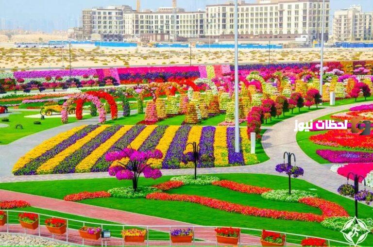 أفضل مكان للعوائل في المدينة المنورة