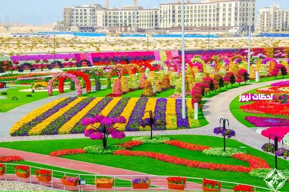 أفضل مكان للعوائل في المدينة المنورة