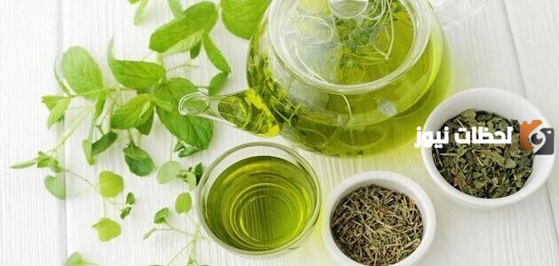 إليك تجربتي مع تونر الشاي الأخضر