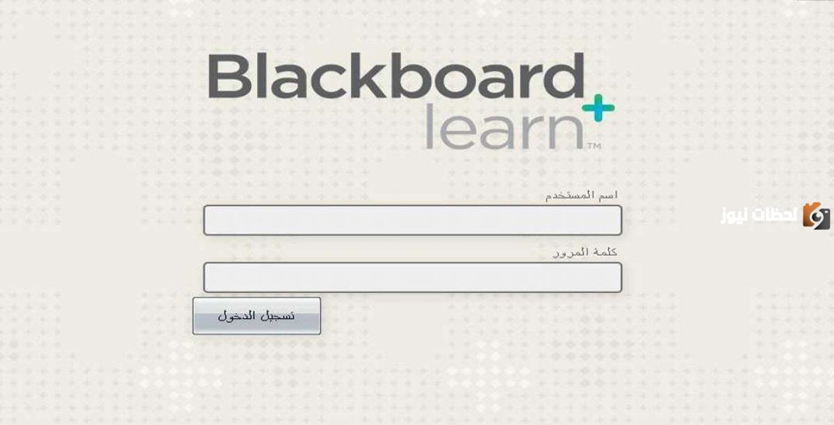 رابط بلاك بورد الكلية التقنية
