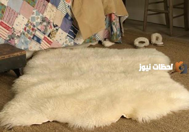 طريقة دباغة جلد الخروف في المنزل