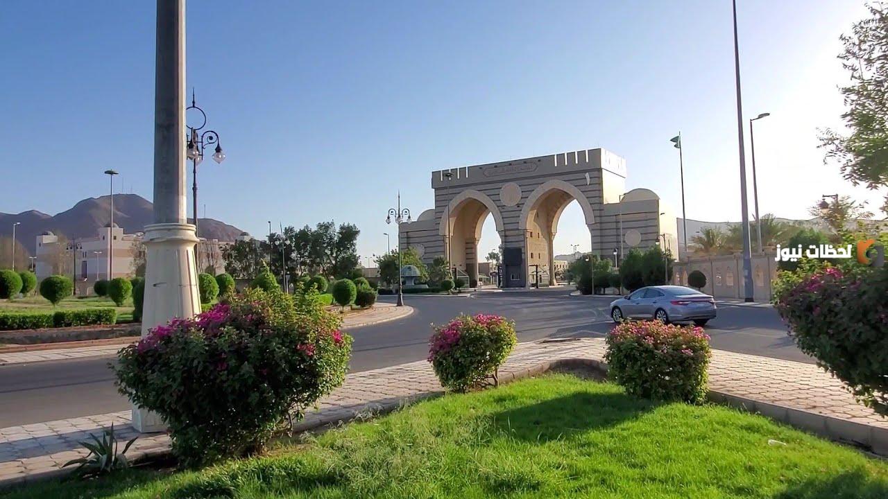 كم نسب القبول في الجامعات الإسلامية بالمدينة المنورة