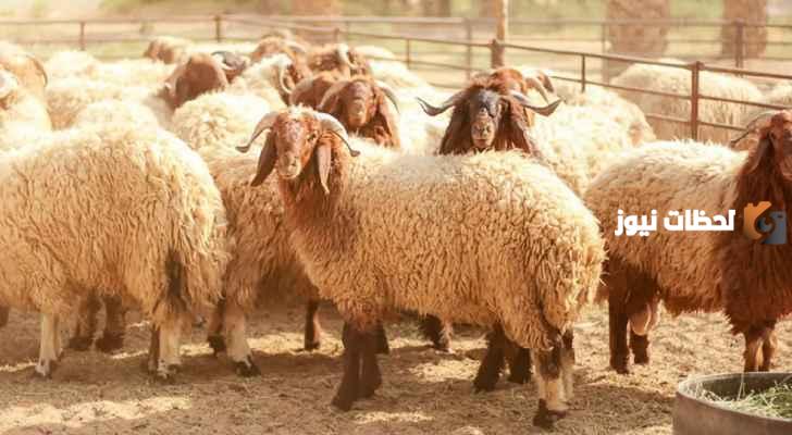 لغز فقهي ما الشيء الذي يجوز إهداؤه ولا يجوز بيعه