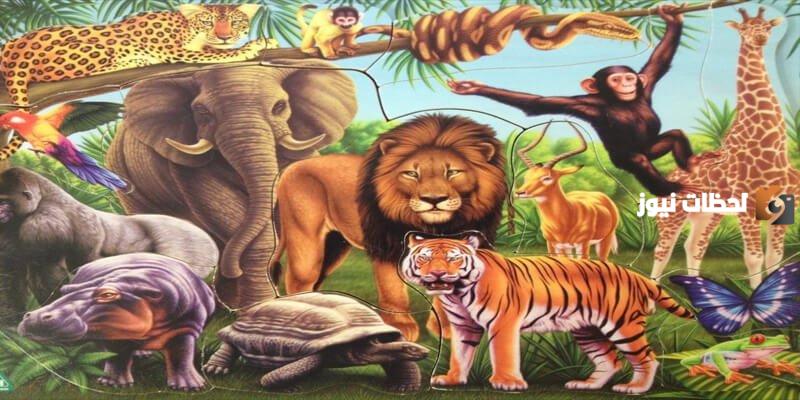 معلومات عامة قصيرة | هل تعلم عن الحيوانات