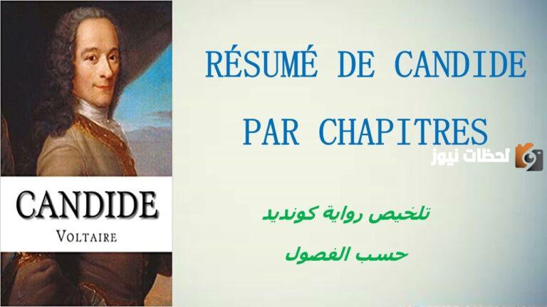 ملخص رواية كانديد