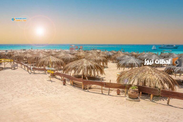 موقع جزيرة الجفتون البحر الأحمر