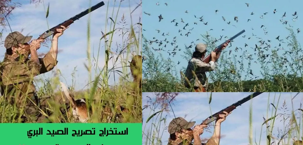 شروط وطريقة استخراج تصريح صيد