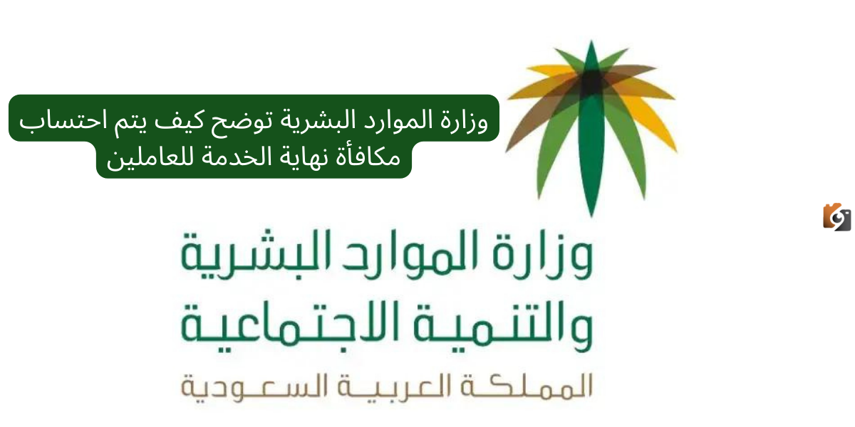 خطوات احتساب مكافأة نهاية الخدمة في السعودية 1446 وشروط الحصول عليها