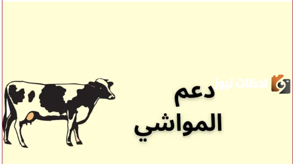 كيفية الاستعلام حول دعم المواشي بواسطة النفاذ الوطني 1446 وشروط التقديم على الدعم