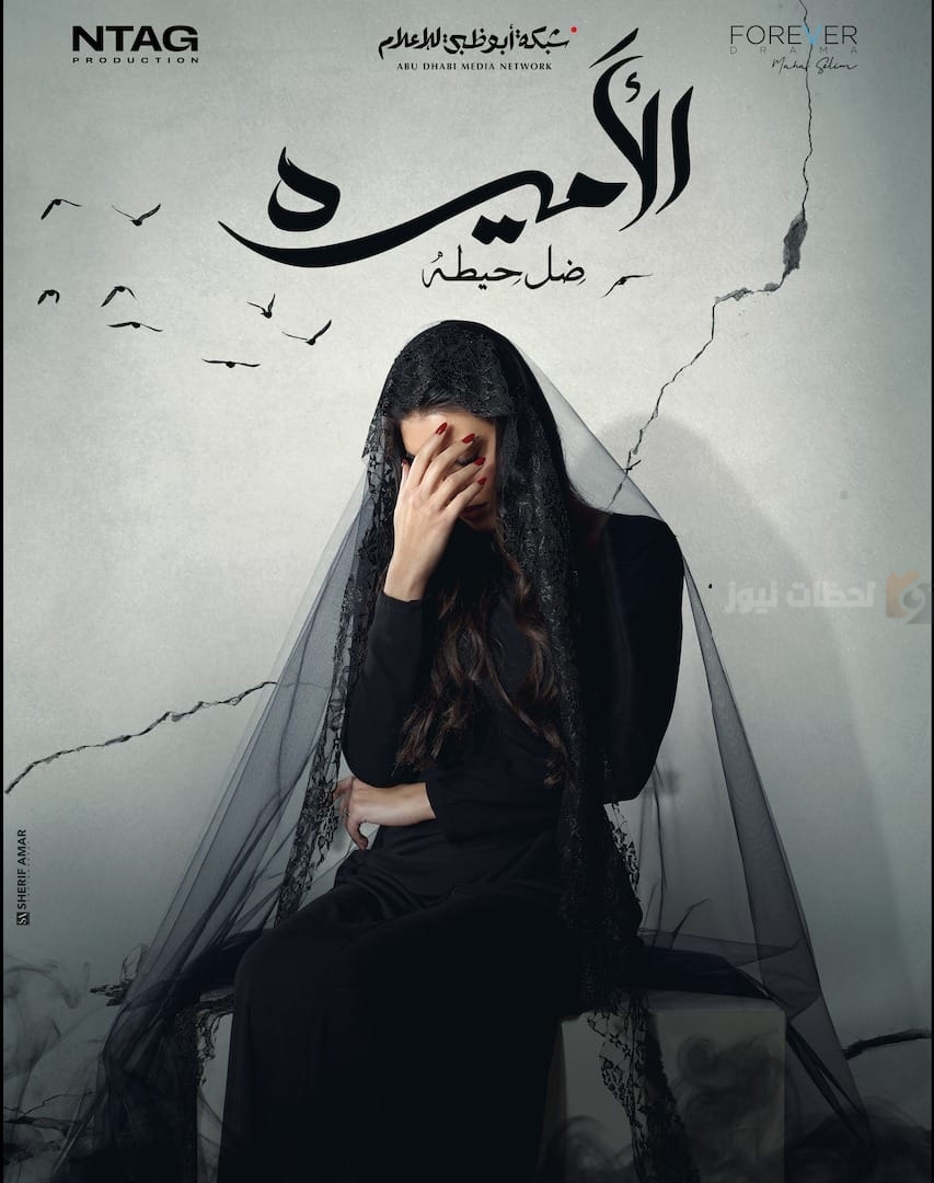 مسلسل الأميرة - ضل حيطة