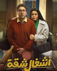 مسلسل أشغال شقة