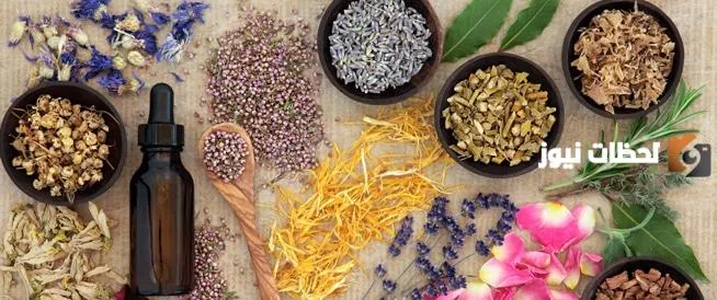 أطعمة وأعشاب لزيادة الشهوة الجنسية عند النساء