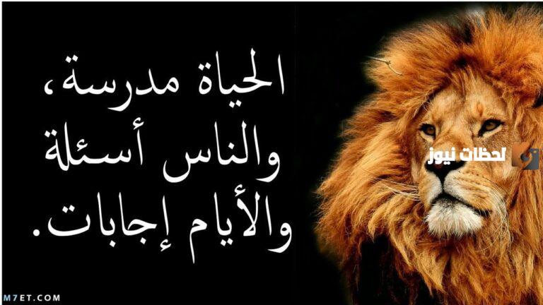 أمثال عن القوة