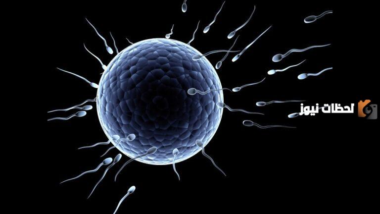 كم مرة تحتاج المرأة للجماع في الأسبوع للحمل