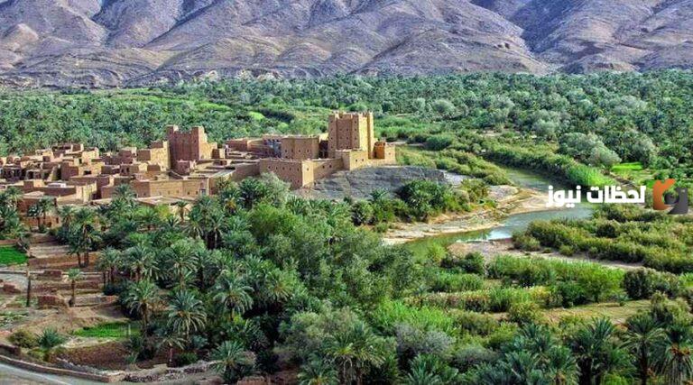 إليك أهم معلومات عن الواحات المغربية