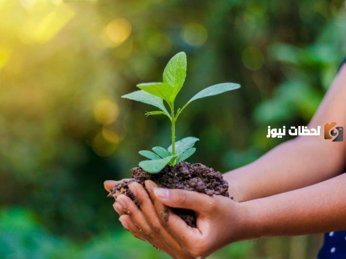 بحث حول البيئة كامل العناصر وجاهز للطباعة