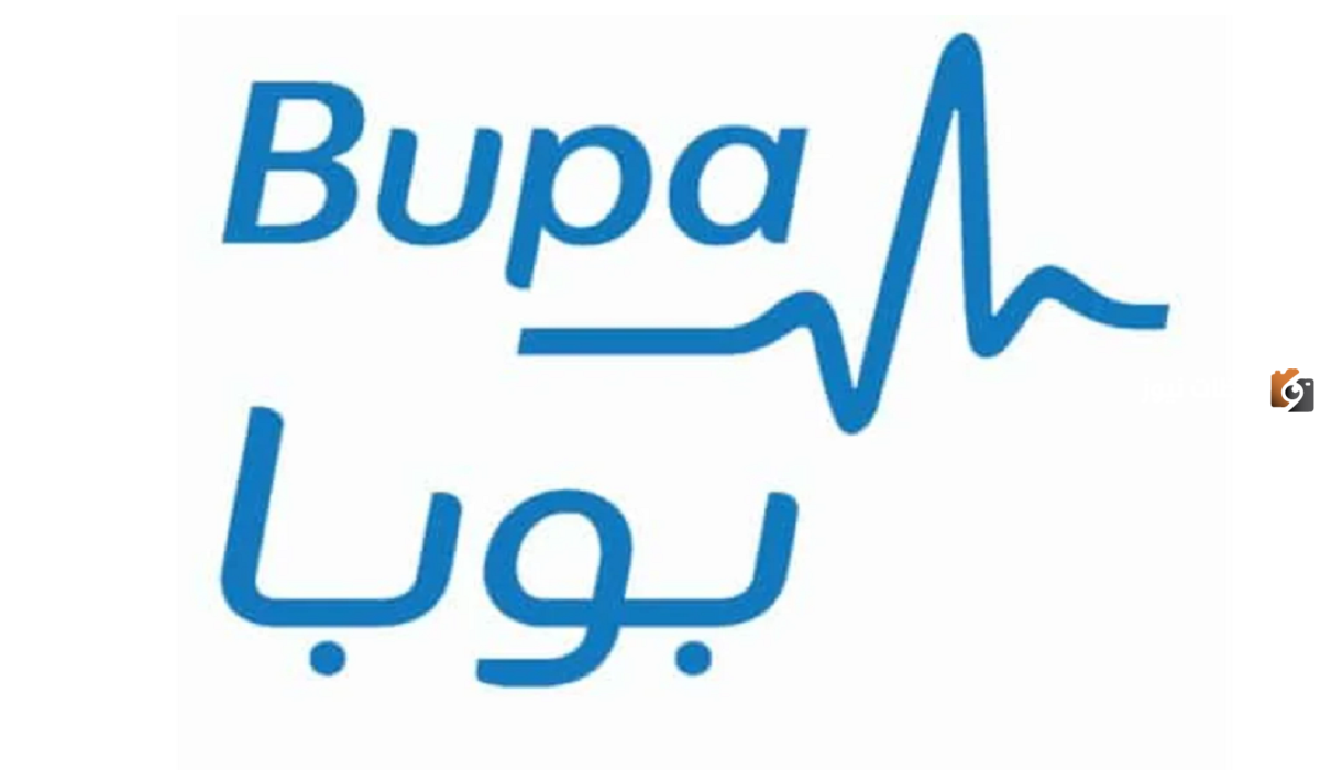 ترتيب فئات تأمين بوبا وتفاصيل تأمين كل فئة مع مميزاتها