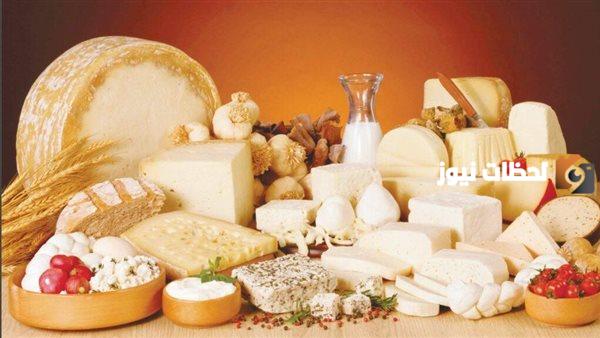 دراسة جدوى مشروع منتجات الألبان والسمن البلدي وعوامل نجاح المشروع