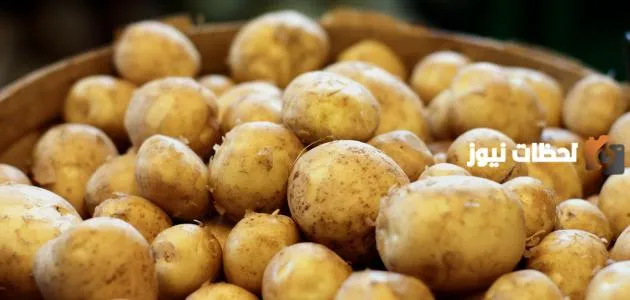رجيم البطاطا 7 كيلو خلال أسبوع وكيفية اتباعه