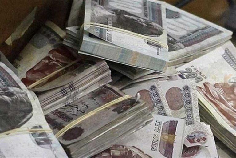 رواتب الموظفين في مصر 2025