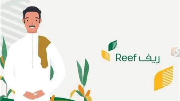 طريقة الاستعلام عن دعم ريف
