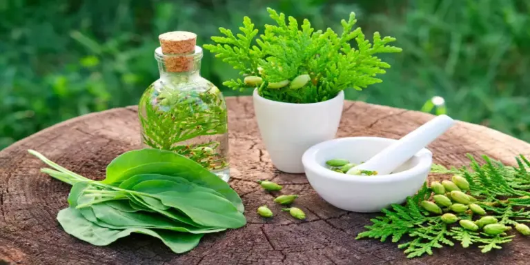 علاج التهاب اللوزتين بالأعشاب للكبار والصغار