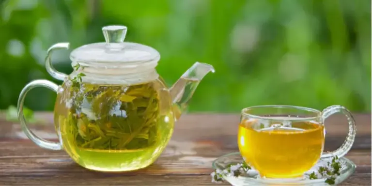 فوائد الشاي الأخضر بالنعناع للكرش وعدد مرات تناوله خلال اليوم