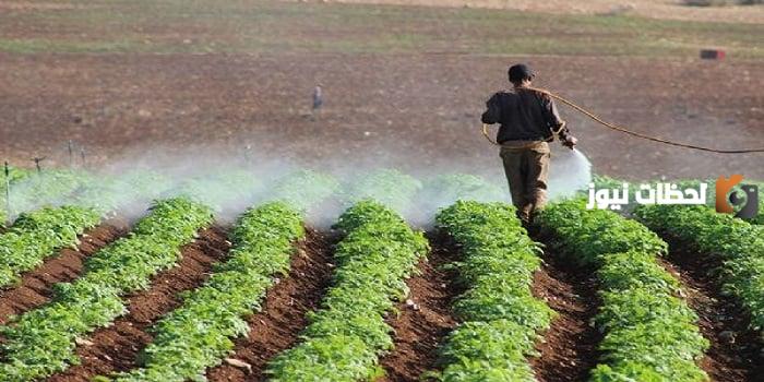 كيفية الحصول على صلاحية تجارة المبيدات في مصر
