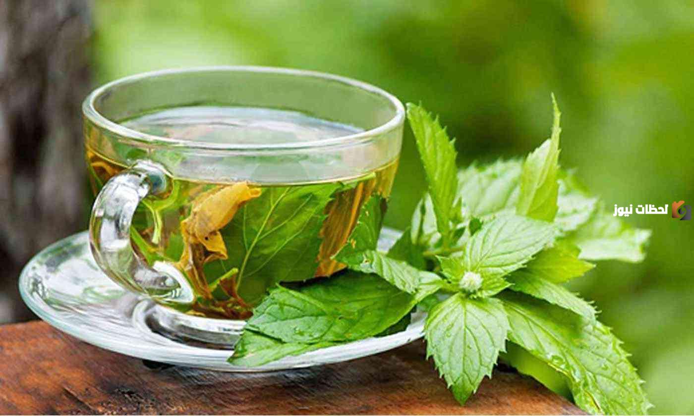 ما هي فوائد الشاي الأخضر مع الليمون للتنحيف