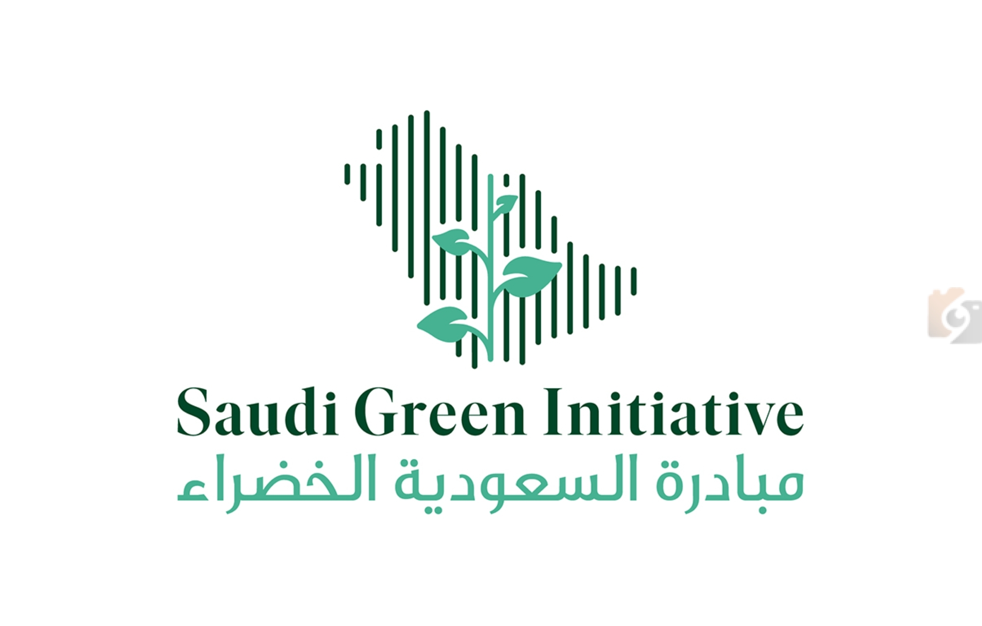 مبادرات جديدة لدعم التنمية الوطنية في السعودية