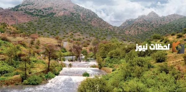 معلومات عن مدينة الطائف بالانجليزي مترجمة